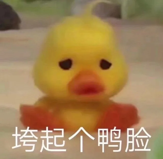 垮起个鸭脸（垮起个鸭脸）