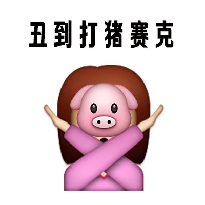 丑到打猪赛克（丑到打猪赛克）