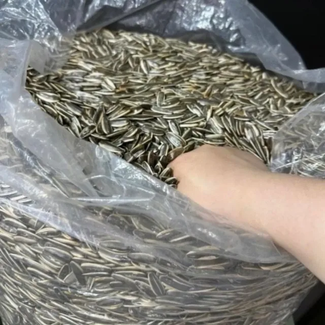 磕瓜子表情包（磕瓜子表情包）