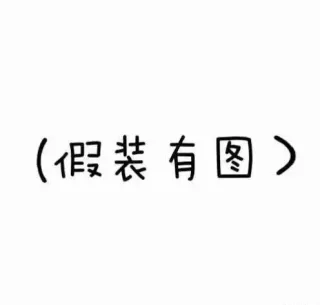 假装有图