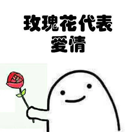 玫瑰花代表爱情（玫瑰花代表爱情）