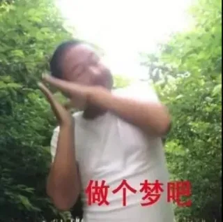 做个梦吧