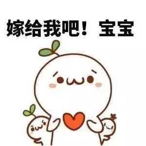 嫁给我吧！宝宝（嫁给我吧！宝宝）