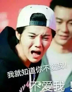 我就知道你不爱我