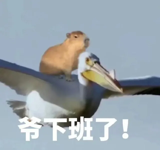 爷下班了！(水豚表情包)（爷下班了！(水豚表情包)）