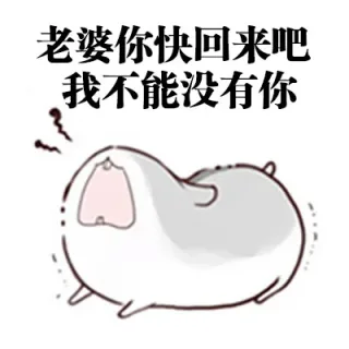 想要这样会道歉的老公 _ㄇㄚˊ幾兔_老婆_撩妹撩汉表情包