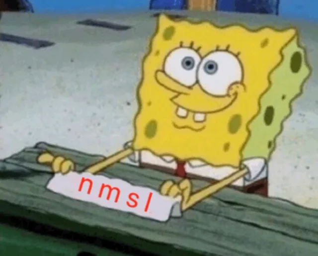 nmsl（nmsl）