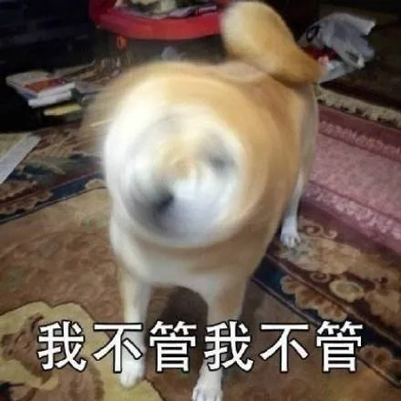 你跟你女朋友讲道理时候她的样子_狗子_doge_摇头表情包