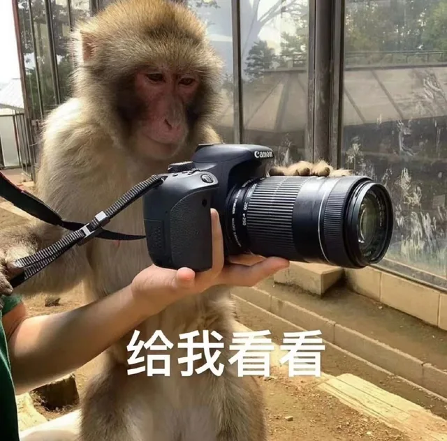 Canon308130给我看看764（Canon308130给我看看764）
