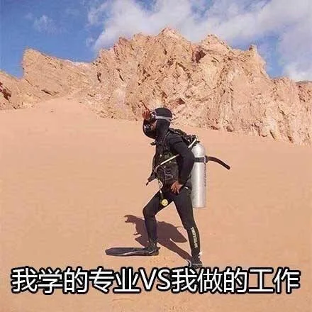 我学的专业VS我做的工作（我学的专业VS我做的工作）