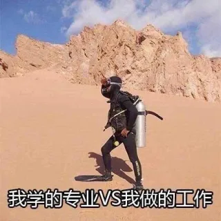 我学的专业VS我做的工作