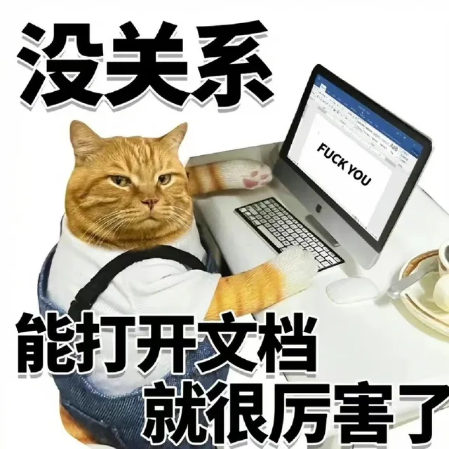 没关系FUCK YOU能打开文档就很厉害了（没关系FUCK YOU能打开文档就很厉害了）