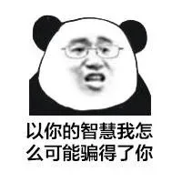以你的智慧我怎么可能骗得了你