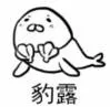 一组很火的海豹表情包_海豹