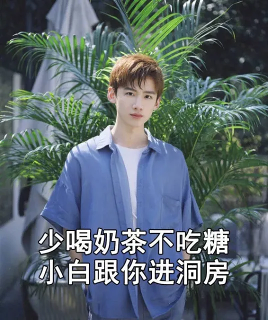 少喝奶茶不吃糖小白跟你进洞房