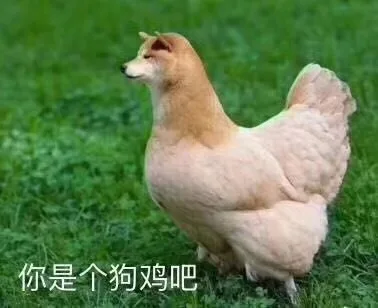 你是个狗鸡吧（你是个狗鸡吧）