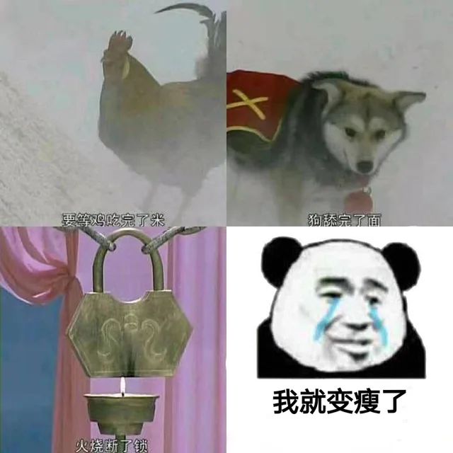 等鸡吃完了米、狗舔完了面、火烧断了锁的时候，我就变瘦了
