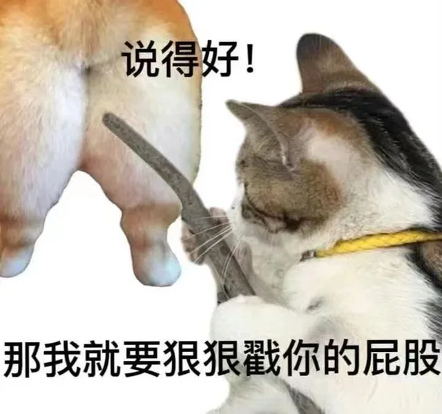 说得好！那我就要狠狠戳你的屁股(猫猫表情包)（说得好！那我就要狠狠戳你的屁股(猫猫表情包)）