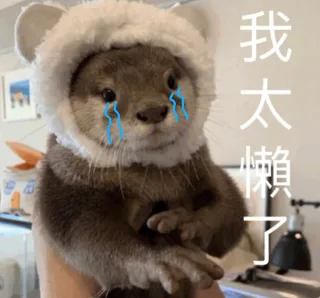 我太懒了