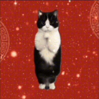 恭喜发财 万事如事 猫猫拜年表情包（恭喜发财 万事如事 猫猫拜年表情包）