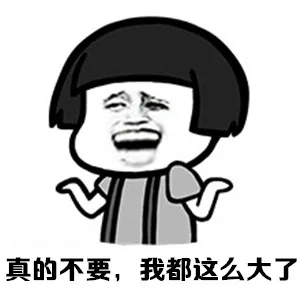 真的不要，我都这么大了（真的不要，我都这么大了）