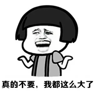 真的不要，我都这么大了