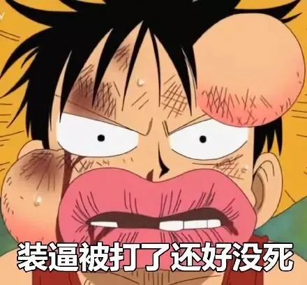 装逼被打了还好没死（海贼王）
