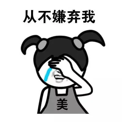 从不嫌弃我 美