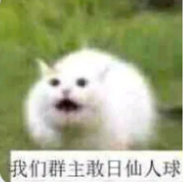 我们群主敢日仙人球（我们群主敢日仙人球）