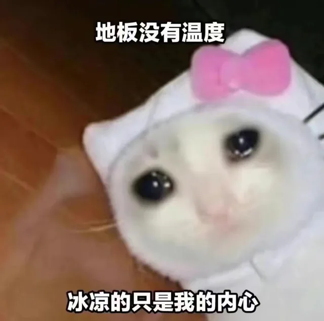 地板没有温度冰凉的只是我的内心（地板没有温度冰凉的只是我的内心）