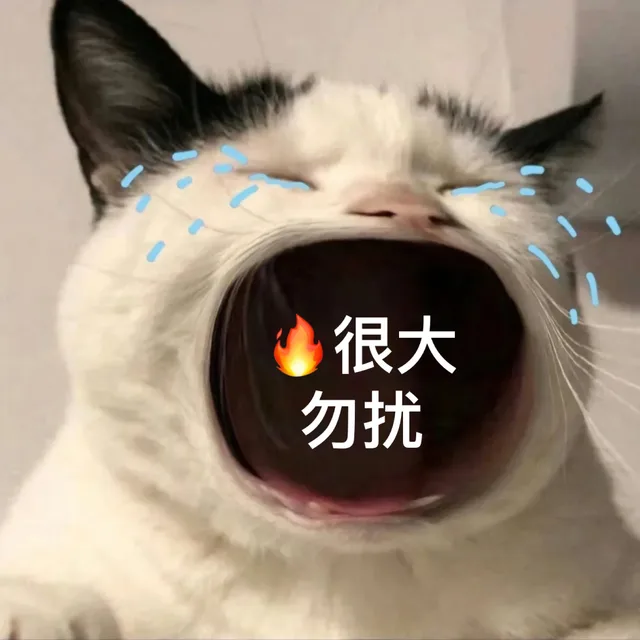 很大勿扰（很大勿扰）