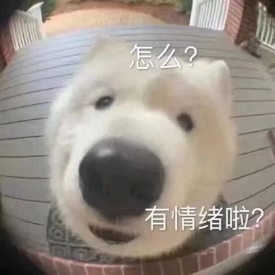 怎么？有情绪拉？