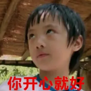 你开心就好