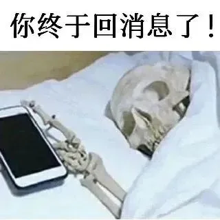 你终于回消息了！（你终于回消息了！）