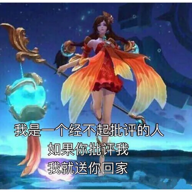 我是一个经不起批评的人，如果你批评我，我就送你回家