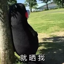 还晒我（还晒我）