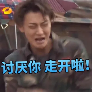 讨厌你，走开啦！