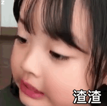 渣渣（权律二表情包）（渣渣（权律二表情包））