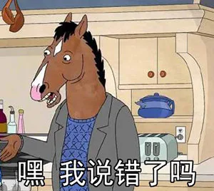 嘿，我说错了吗（嘿，我说错了吗）