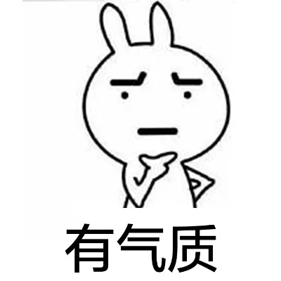 有气质