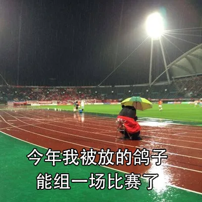 今年我被放的鸽子能组一场比赛了（今年我被放的鸽子能组一场比赛了）