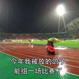 今年我被放的鸽子能组一场比赛了