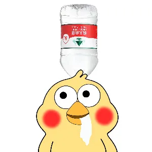 快乐肥宅水版鹦鹉兄弟_鹦鹉兄弟