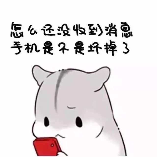 怎么还没收到消息，手机是不是坏掉了（怎么还没收到消息，手机是不是坏掉了）