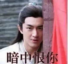 暗中恨你
