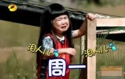 姐姐的一周表情