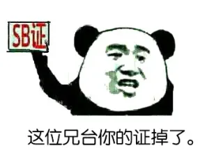 SB 证，这位兄台你的证掉了。