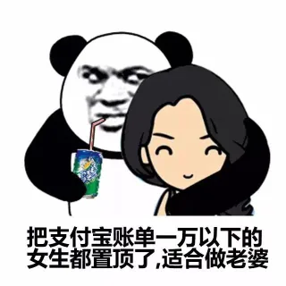「支付宝年度账单」