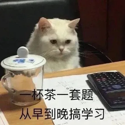 一杯茶一套题从早到晚搞学习（一杯茶一套题从早到晚搞学习）