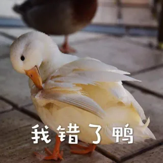 我错了鸭